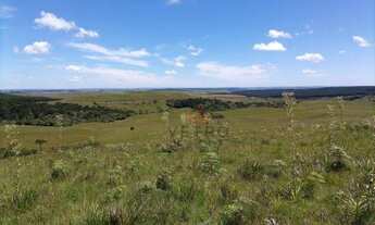 Imagem 6: Sítio na Várzea do Cedro em São Francisco de Paula!