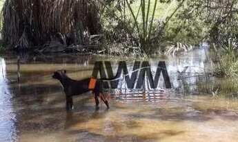 Imagem 2: Fazenda à venda, 10551200 m² por R$ 22.000.000 - Zona Rural - Jussara/GO