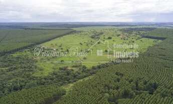 Imagem 4: 32 alqueires no Rio Verde próximo ao aeroporto Bauru-SP