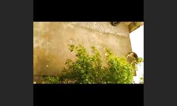 Imagem 4: Alugo casa no sul do rio