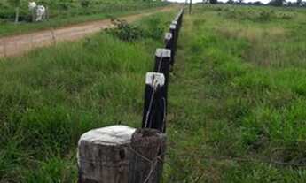 Imagem 7: FAZENDA À VENDA EM TUCURUÍ - PA - 610 HECTARES (DUPLA APTIDÃO