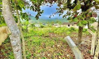 Imagem 3: Três excelentes terrenos localizados em Zimbros-Bombinhas/SC