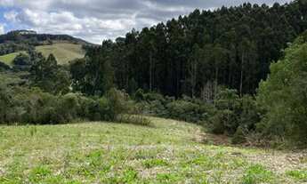 Imagem 7: Terreno para agricultura com 60.500m² ou 2,5 alqueires