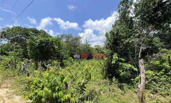 Imagem 5: Terreno próximo ao centro de Tibau do Sul