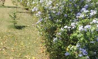 Imagem 4: Chácara em Recreio da Barra próx. ao Thermas Club