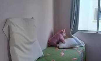 Imagem 5: ?oportunidade? Apartamento com 3 dormitórios