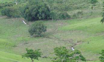 Imagem 7: MARAGOGIPE - RURAL - · OUTRAS LOCALIDADES