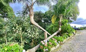 Imagem 5: Campo Alegre - Terreno Padrão - CENTRO