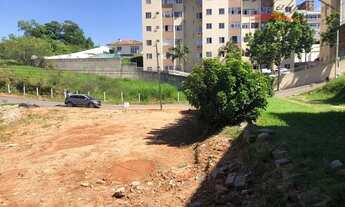 Imagem 4: SãO JOSé - Terreno Padrão - Serraria