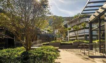 Imagem 4: Sala Comercial para locação, Saco Grande, Florianópolis -