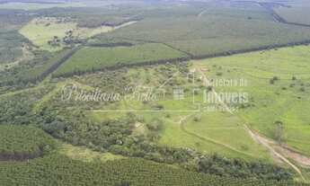 Imagem 3: 32 alqueires no Rio Verde próximo ao aeroporto Bauru-SP