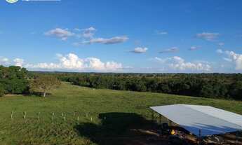 Imagem: FAZENDA À VENDA EM JUARINA - TO - 1791