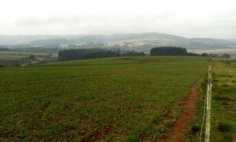 Imagem 4: Excelente oportunidade