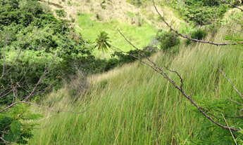 Imagem 7: Oferta 4 hectares R$ 60.000 ou 8 hectares por 120.000