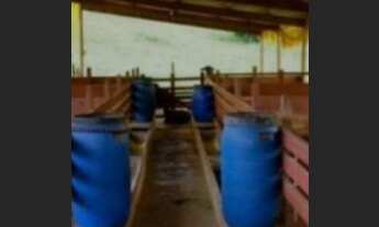 Imagem 6: Fazenda em Itaporanga D'Ajuda