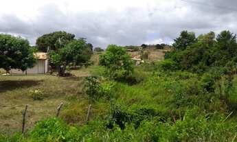 Imagem 3: Fazenda em Itaporanga D'Ajuda