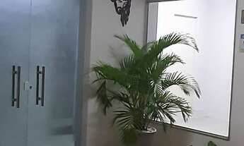 Imagem 3: 3 salas conjugadas com 62m/2 + copa e wc. Próximo ao Iate Clube na 13 de Julho