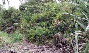 Imagem 5: Terreno para Venda em Ervino São Francisco do Sul-SC - 1217