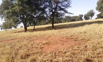 Imagem 4: Fazenda - Caçu GO