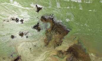 Imagem 6: Terreno à venda, 726 m² por R$ 68.000,00 - Maracajaú - Maxaranguape/RN