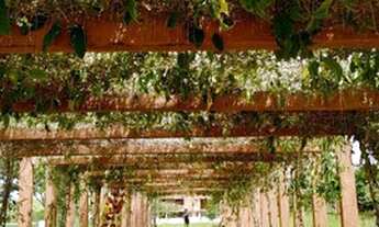 Imagem 6: Lotes no Residencial Alphaville - Casa Alto padrão