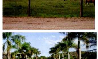 Imagem 3: Fazenda - Cocalinho (MT