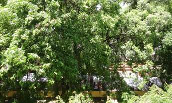Imagem 5: RUA LOPES TROVÃO EM FRENTE CAMPO DE SÃO BENTO-EXCELENTE LOCALIZAÇÃO