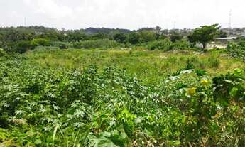 Imagem: Vendo excelente Área na PE-15 / OLINDA