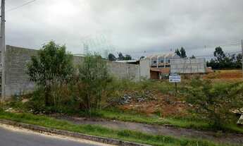 Imagem 3: Terreno para Venda em Itinga Araquari-SC - 963