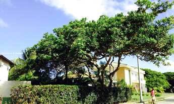 Imagem 3: Casa para Venda em Camaçari, Busca Vida (Abrantes), 5 dormitórios, 5 suítes, 8 banheiros