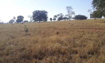 Imagem 6: Fazenda - Caçu GO