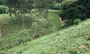 Imagem 5: Área à venda, 64.000 m² por R$ 1.200.000 - Serrano - São Bento do Sapucaí/SP