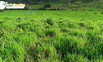 Imagem 5: FAZENDA À VENDA EM DOIS IRMÃOS DO BURITI - MS - 375 HECTARES
