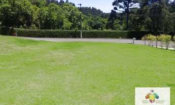 Imagem 3: Terreno à venda, 1391 m² por R$ 550.000,00 - Ferraria - Campo Largo/PR