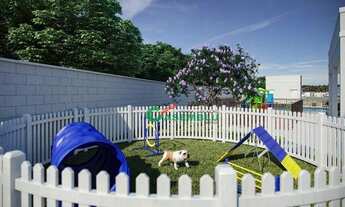 Imagem 4: LANÇAMENTO 100% FINANCIADO