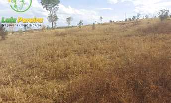 Imagem 16: FAZENDA À VENDA NO VALE DO ARAGUAIA - TO - 1.462 HECTARES (DUPLA APTIDÃO