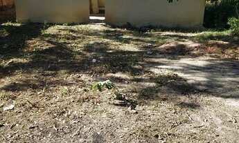 Imagem 1: Vendo uma casa com quintal