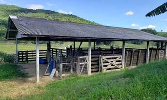 Imagem 4: Sítio 14hac com infraestrutura completa em Paulo Lopes - SC