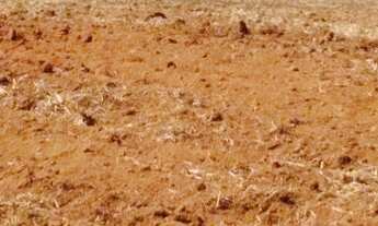 Imagem 5: Fazenda a venda em Alto Paraíso - GO - 654,20HA - Ótima para soja