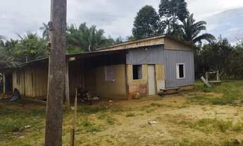 Imagem 5: Sítio 100 hectares/42 Alqueires no Joana Darc, linha 15