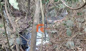 Imagem 6: Chácara com casa de 3 quartos, lote 20.000 m² por R$ 449.000 - Ponte Alta Sul - Gama/DF