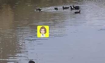 Imagem 3: PIRACICABA - RURAL - PAU QUEIMADO