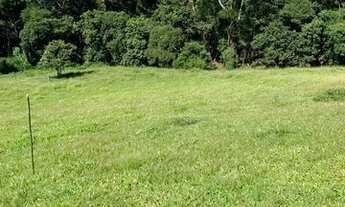 Imagem 6: T.e - Vende-se terrenos para investimento