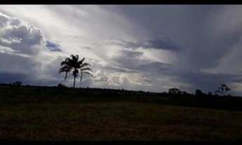 Imagem 3: FAZENDA À VENDA EM TUCURUÍ - PA - 610 HECTARES (DUPLA APTIDÃO