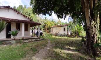 Imagem 4: CHÁCARA no Município de Areia Branca - Sergipe. 12 Tarefas