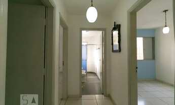 Imagem 7: Apartamento para Aluguel - Jardim Planalto, 3 Quartos, 82 m2