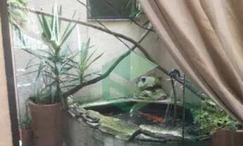 Imagem 6: Sobrado com 3 dormitórios à venda, 238 m² por R$ 970.000,00 - Nova Petrópolis - São Bernar