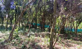 Imagem 3: Brumadinho - Loteamento/Condomínio - Casa Branca