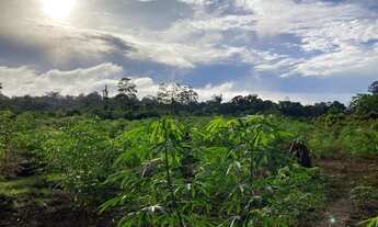 Imagem 6: Vende-se 03 três chácaras à 25 minutos do Centro