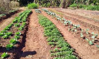 Imagem 6: Chácara em Centro - Terezópolis de Goiás